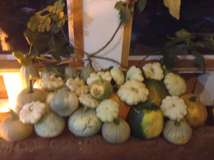 12045641_10153722924514866_2767327309231488479_o