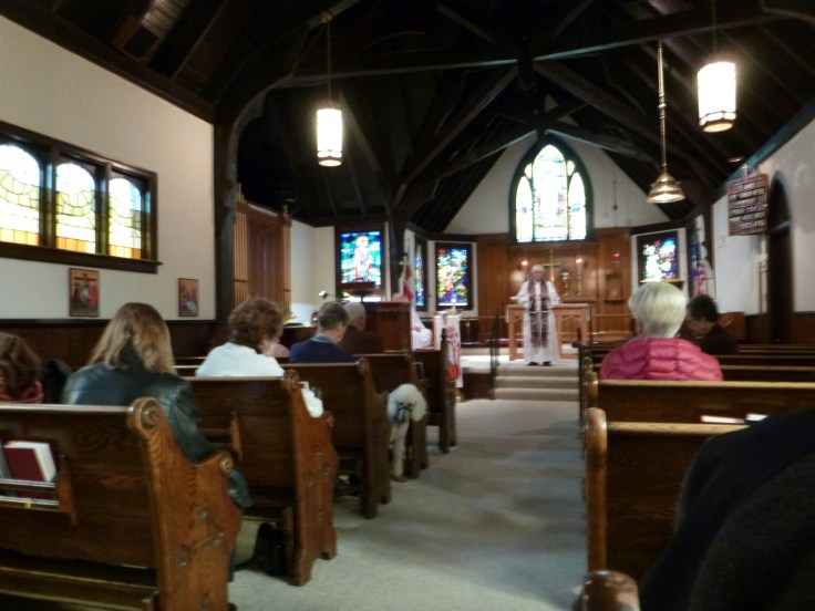 wp-1444005312027 image