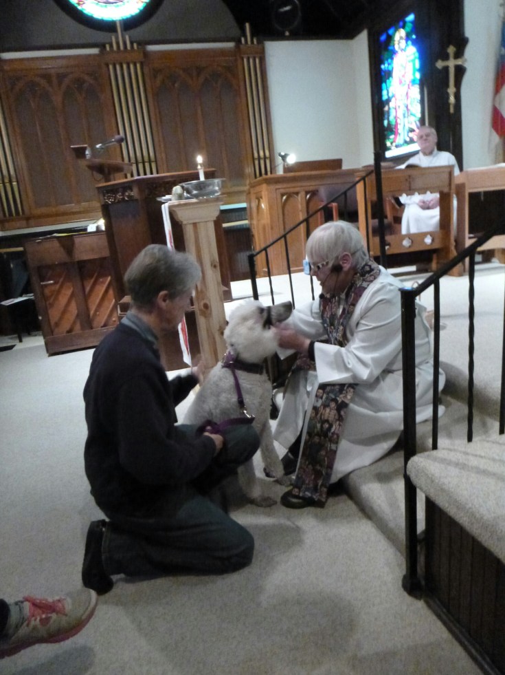 wp-1444005341574 image