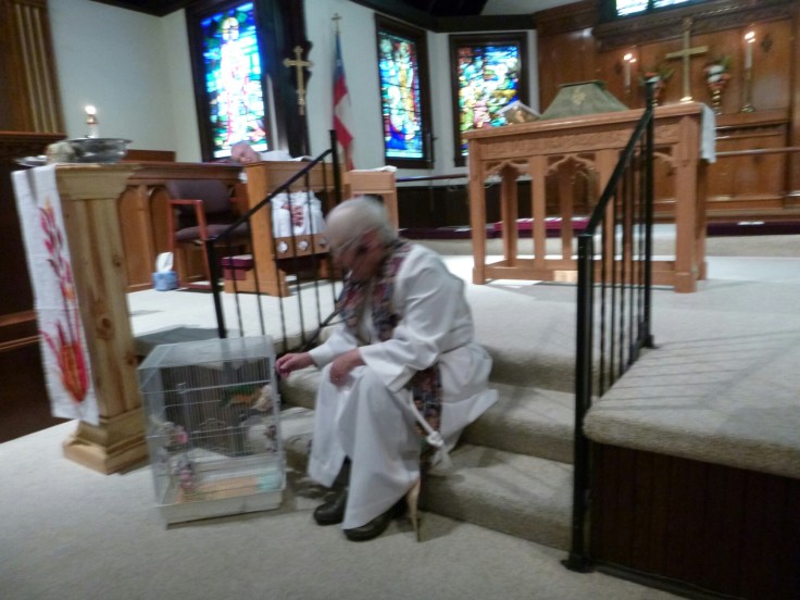 wp-1444005371053 image