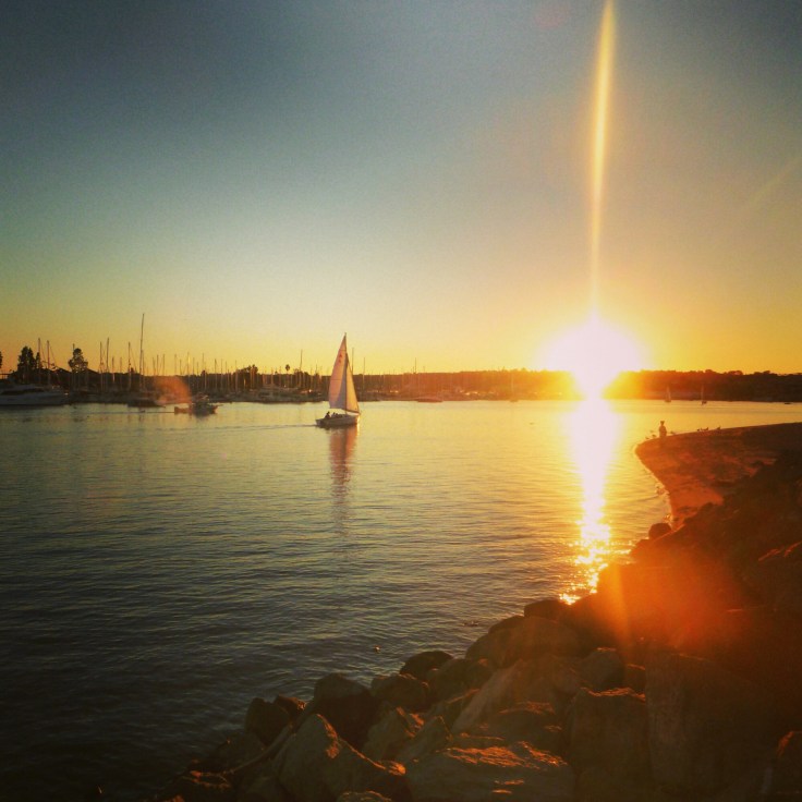 IMG_20151123_104829.jpg image