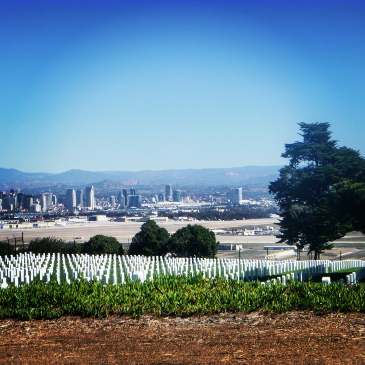 IMG_20151123_105359.jpg image