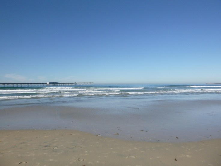 wp-1448154405489 image