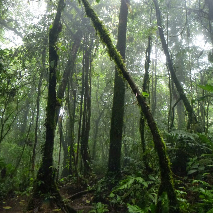 IMG_20160215_202803.jpg image