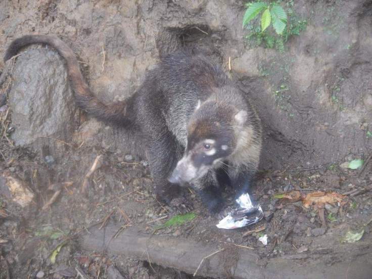 received_10206736314459477.jpeg image