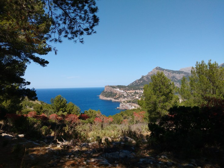 IMG_20170523_145635176