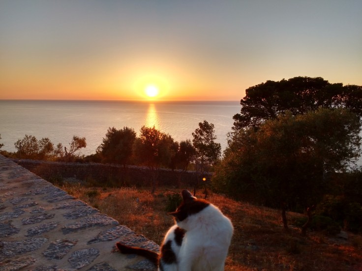 IMG_20170523_195352511_HDR