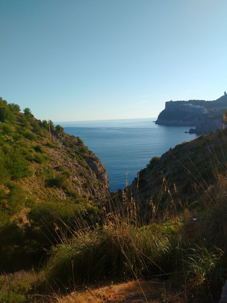 IMG_20170524_070835689