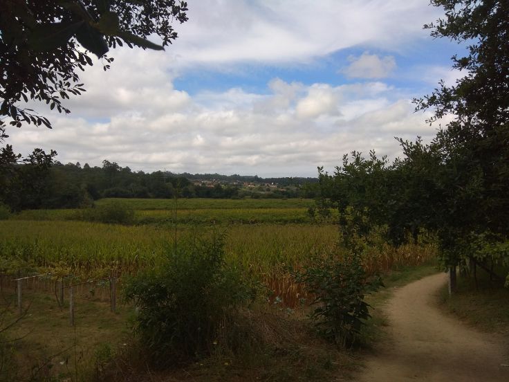 img_20180920_1417592