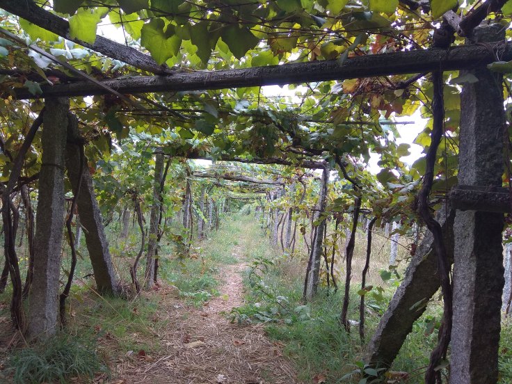 img_20180920_1418533